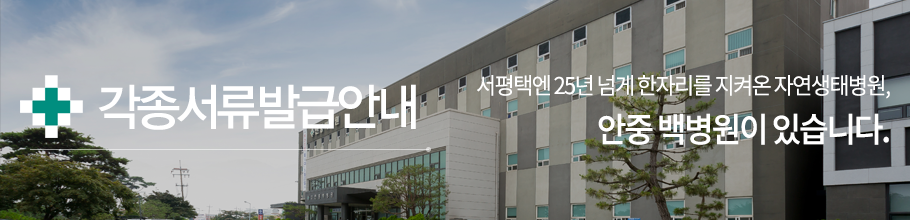 각종서류발급안내